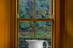 Still Life Republic Of Ireland