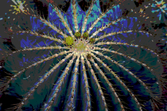 Spikey