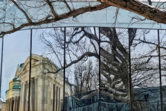 Reflections Of Albright Knox