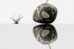 Rock Dead Leaf And Apple