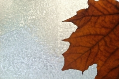Assigned[Luba_Ricket]Winter_Leaf