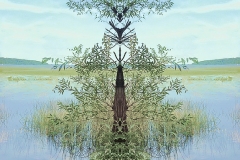 CPID[LubaRicket]Totem_Tree