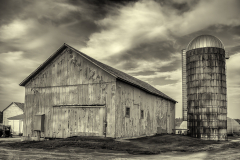 Pitney Meadows Farm