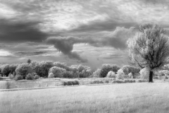 Pastoral Landscape In Infrared