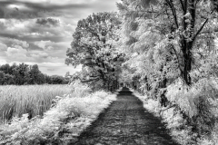 Vischer Ferry Nature Preserve Trail