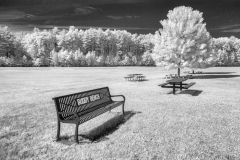 Buddy Bench [TOPIC: Empty Chairs And Benches]