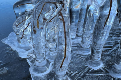 Icicle Hands [TOPIC: Cold As Ice]
