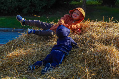Roll In The Hay