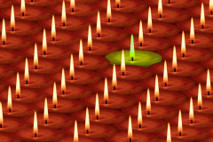 Rows Of Candles