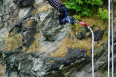 The Sporting Jumper