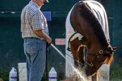 The Horse Waterer