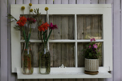 Fenced Window