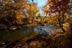 Autumn Stream