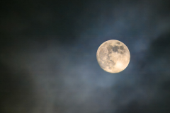 Cold Moon