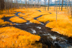 Yellowstone Gold