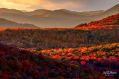 Autumn Tapestry