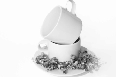 A1_LindaTommasulo_HighKeyCups_PB010074-2