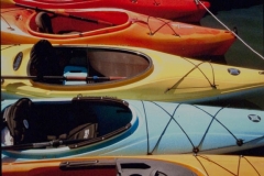 A Pod Of Kayaks