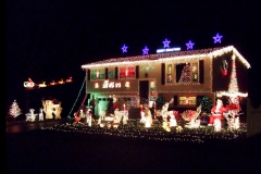 Holiday In Lights