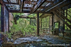Abandoned And Overgrown