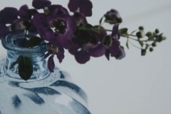 Purple Flower In Vase