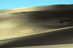 Sand Dune Rest Stop