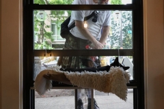 An Unusual View Through The Cat Cafe Window
