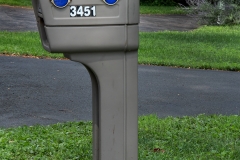 Blue Eyed Mailbox With Red Eyebrow