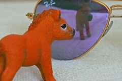 Mirror for a Tiny Horse
