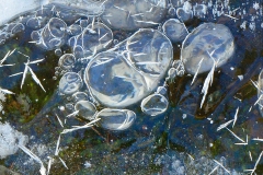 0318PRG0-General[Colleen_Magai]Lapland-creek-colored-bubbles