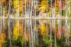 Adirondack Reflection