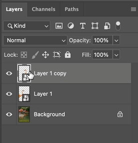 copy a layer