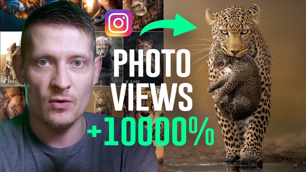Photoshop Roadmap Weekly #13