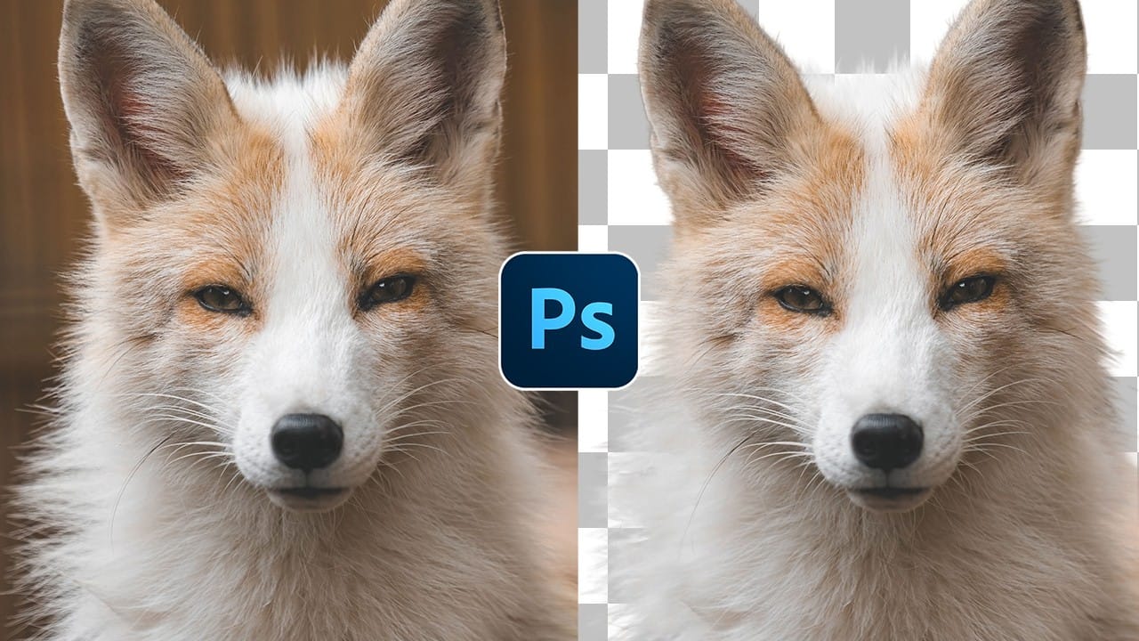 How to Cut Out Complex Hair and Fur in Photoshop Without Fringing