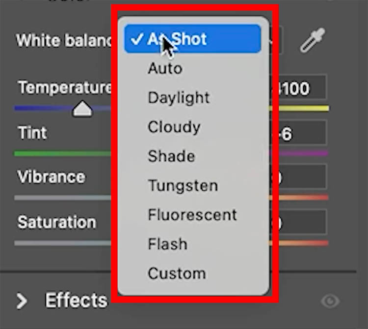 the color balance settings on a raw photograph