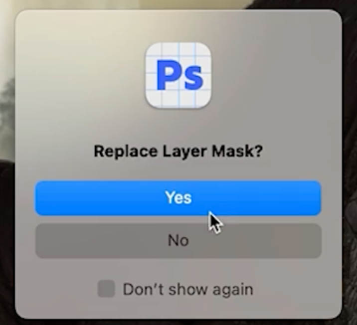 replace mask dialog box
