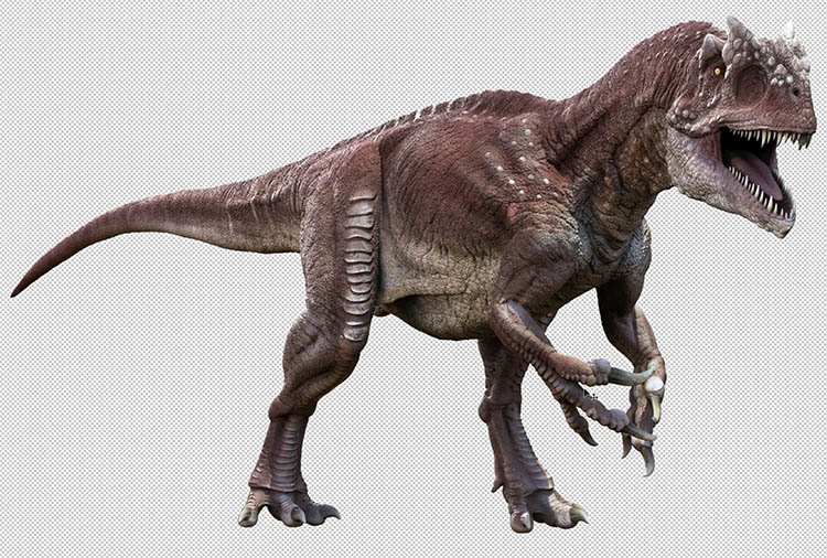 Select Subject improvement example in Photoshop