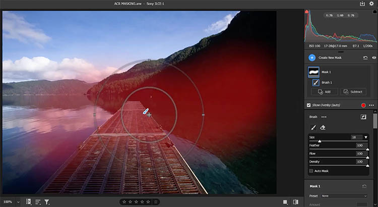 Painting a mask using the Adjustment Brush