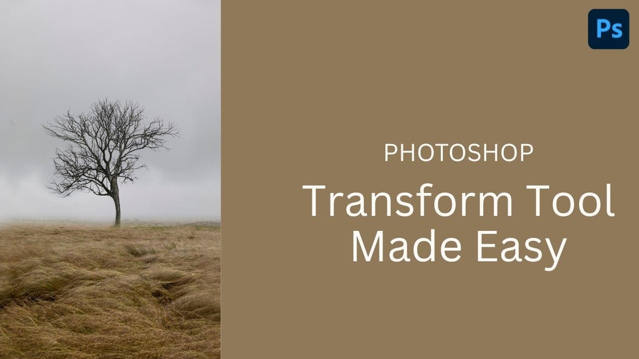 How to Use the Photoshop Transform Tool: Scale, Warp, Flip, and More
