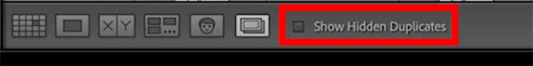 Lightroom Classic Duplicate Finder
